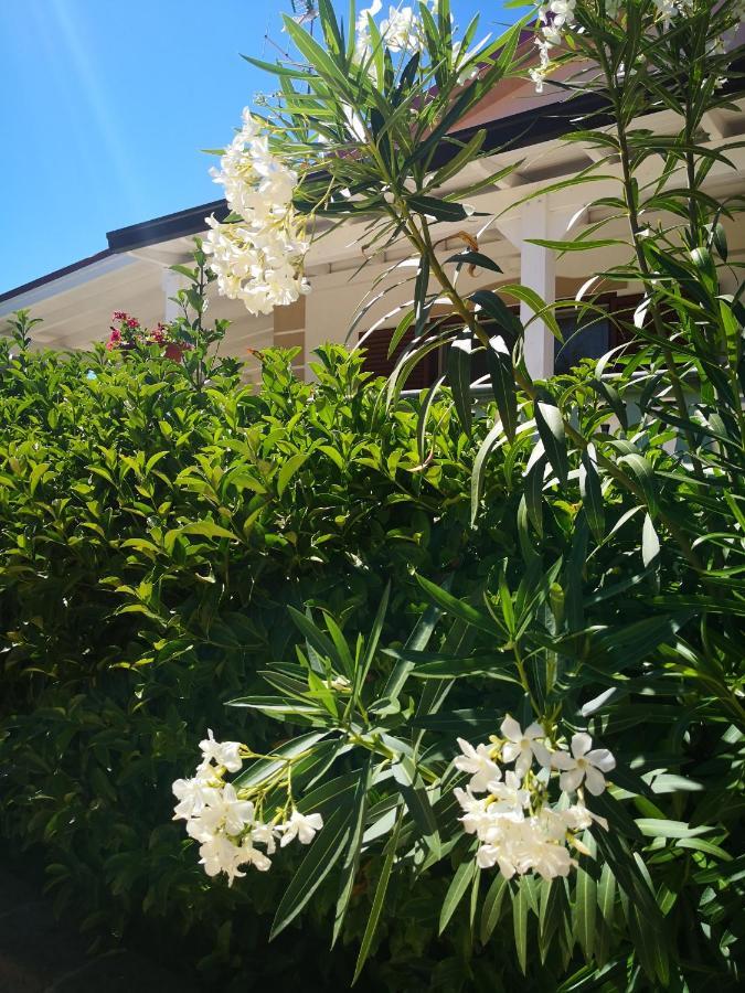 Da Alduccio Bed and Breakfast Vico Del Gargano Exterior foto